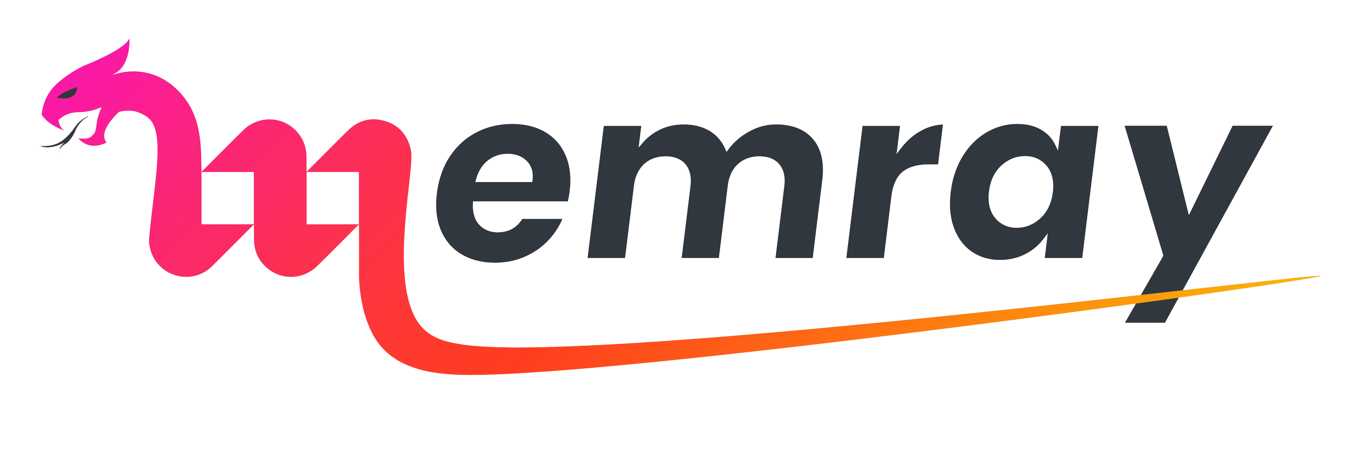 Memray logo